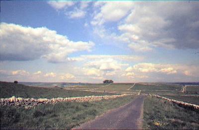 Flagg Moor